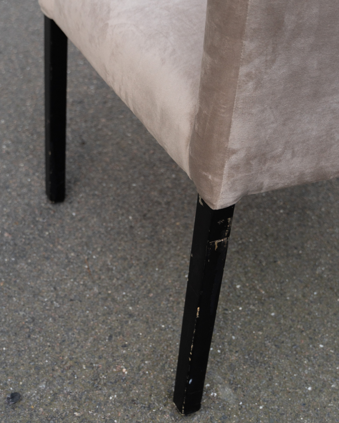 Cozy Living spisebordsstol – lys velour | Vosper Preloved