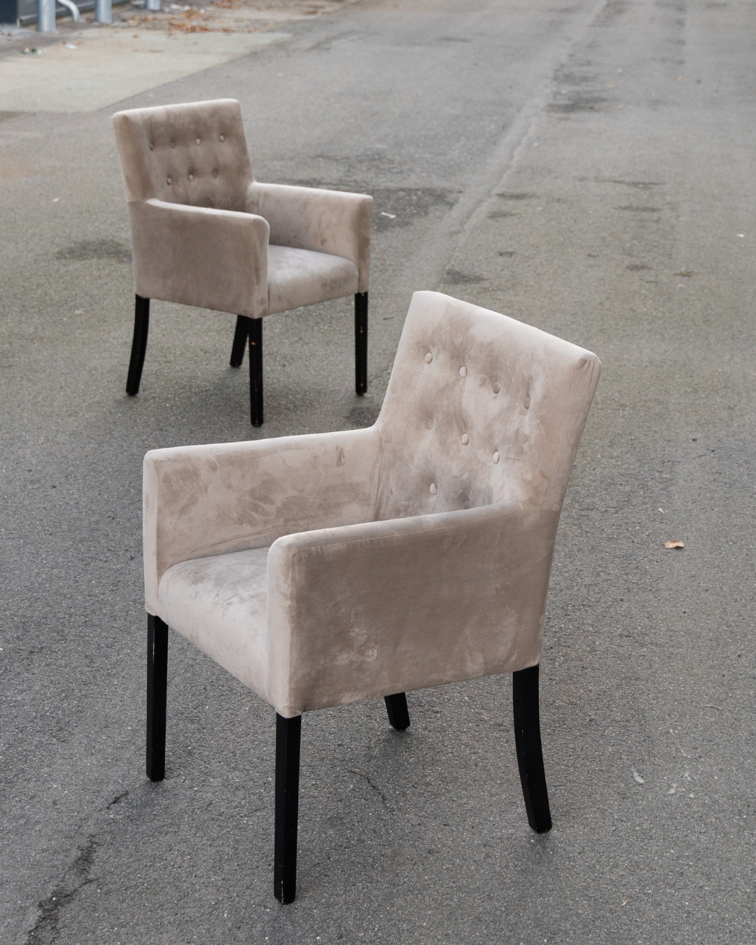 Cozy Living spisebordsstol – lys velour | Vosper Preloved